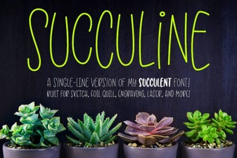 Succuline Font for Clean & Minimalist Design Projects